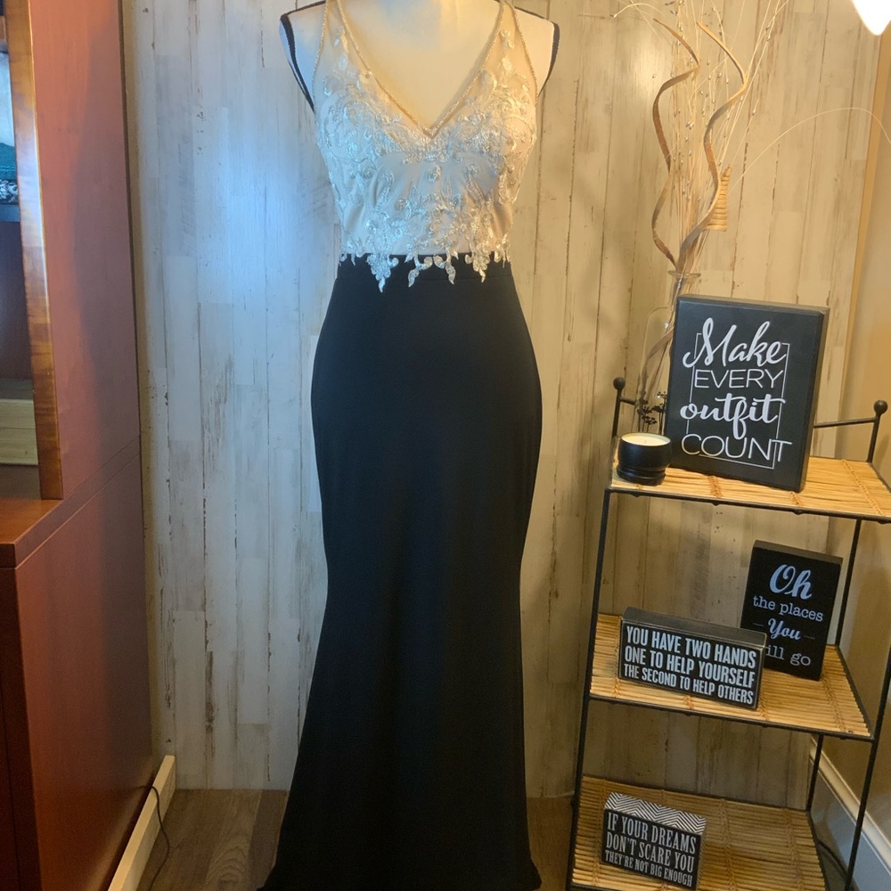 Nina Canacci two tone fitted gown. Size 6
